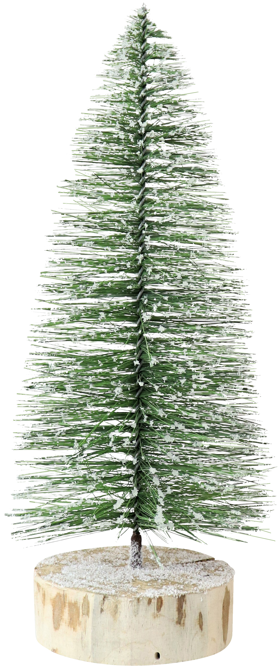 1591 TANNENBAUM GREENWOOD