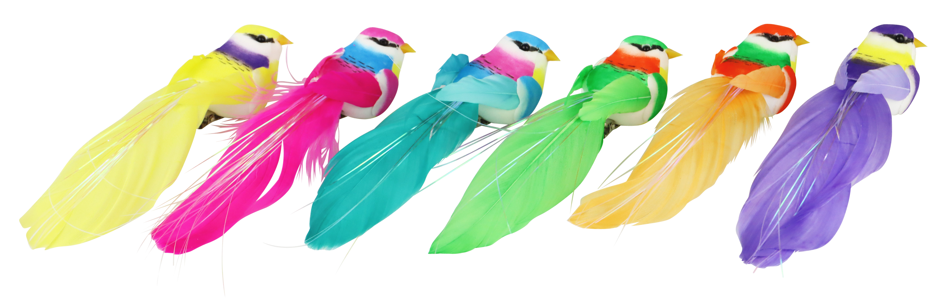 1691 KLAMMERN BEAUTIFUL BIRDS  S/6