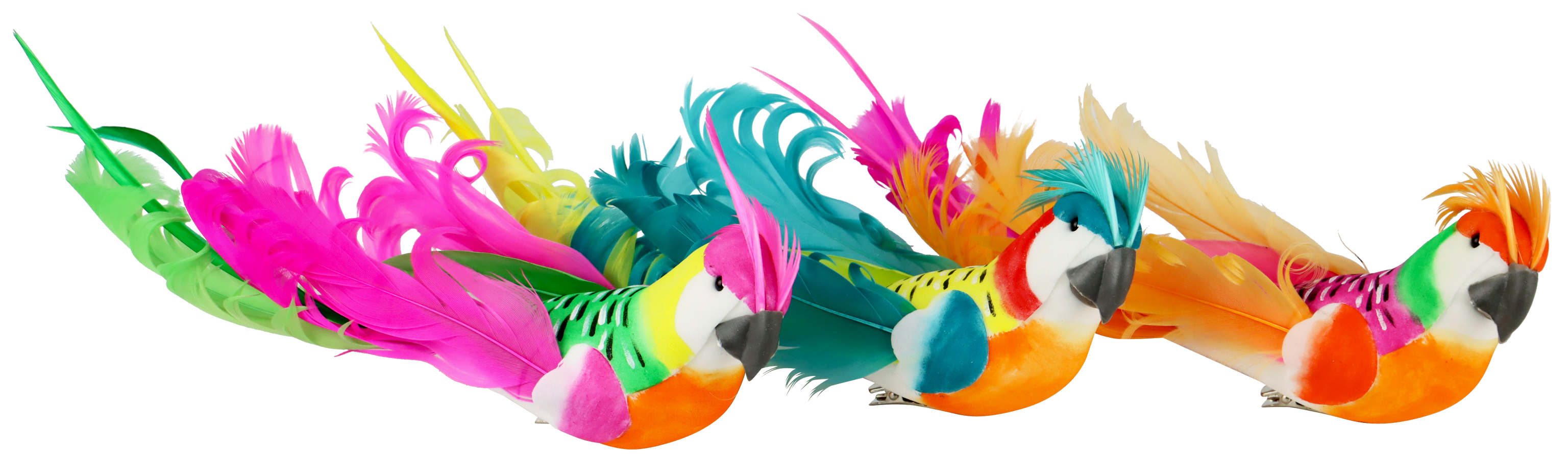 1693 KLAMMERN BEAUTIFUL PARROTS  S/3