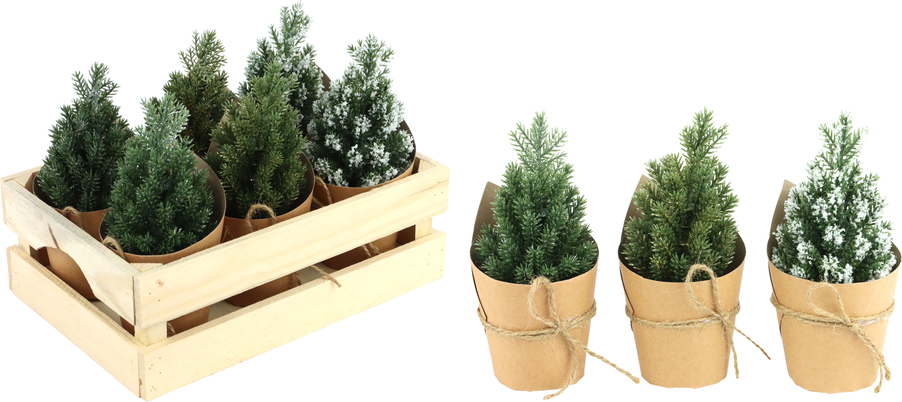 1843 CAJA ÁRBOLES «BOSQUE INVERNAL» S/6