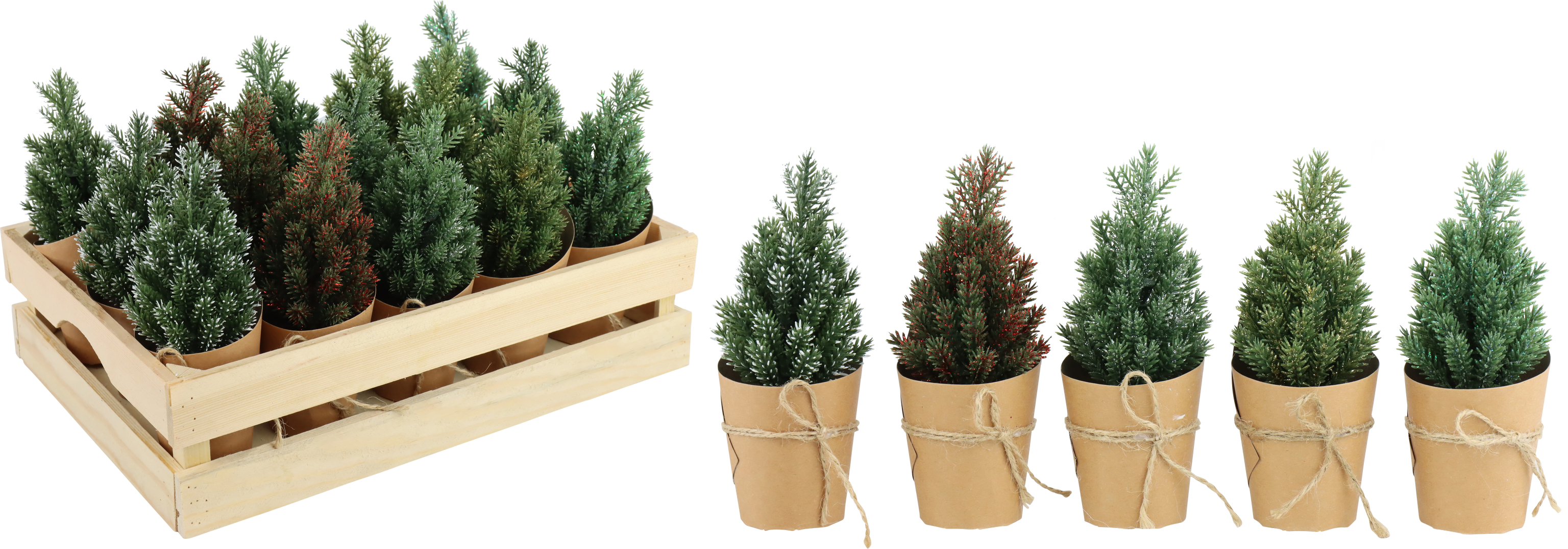 1860 CAJA ÁRBOLES «BOSQUE INVERNAL» S/15