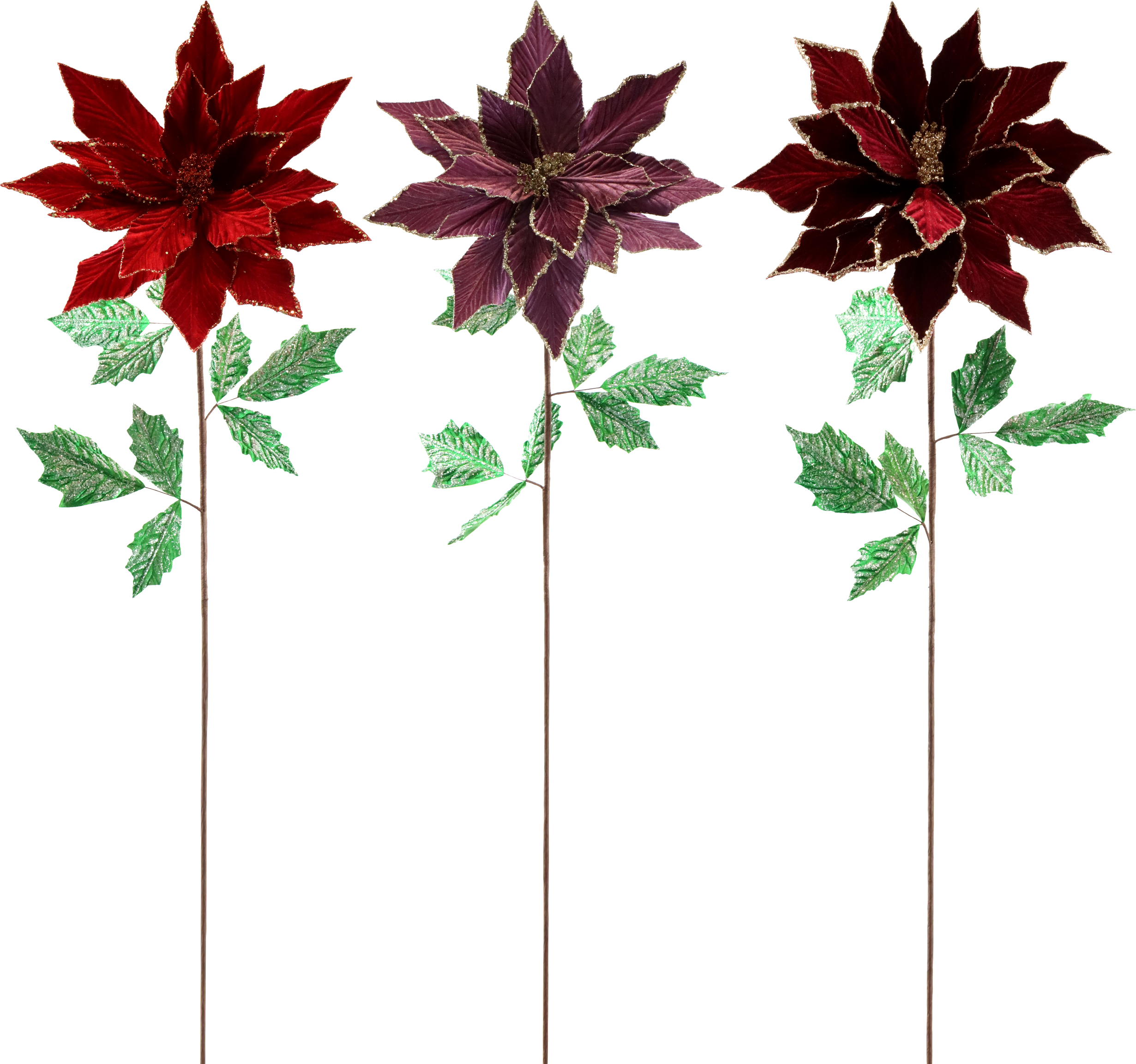 1903 FLOWERTRIO STELLA DI NATALE  S/3