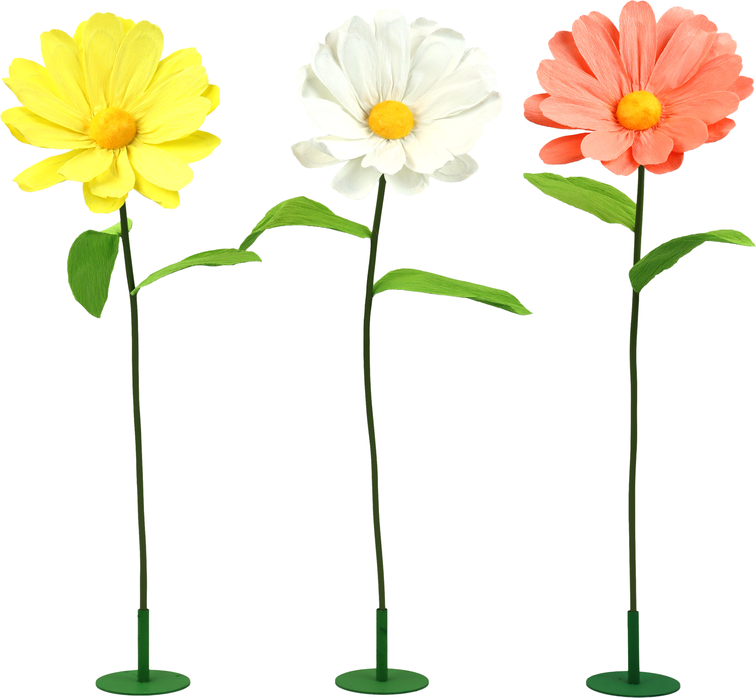 2014 TRÍO DE FLORES  DAISY  S/3