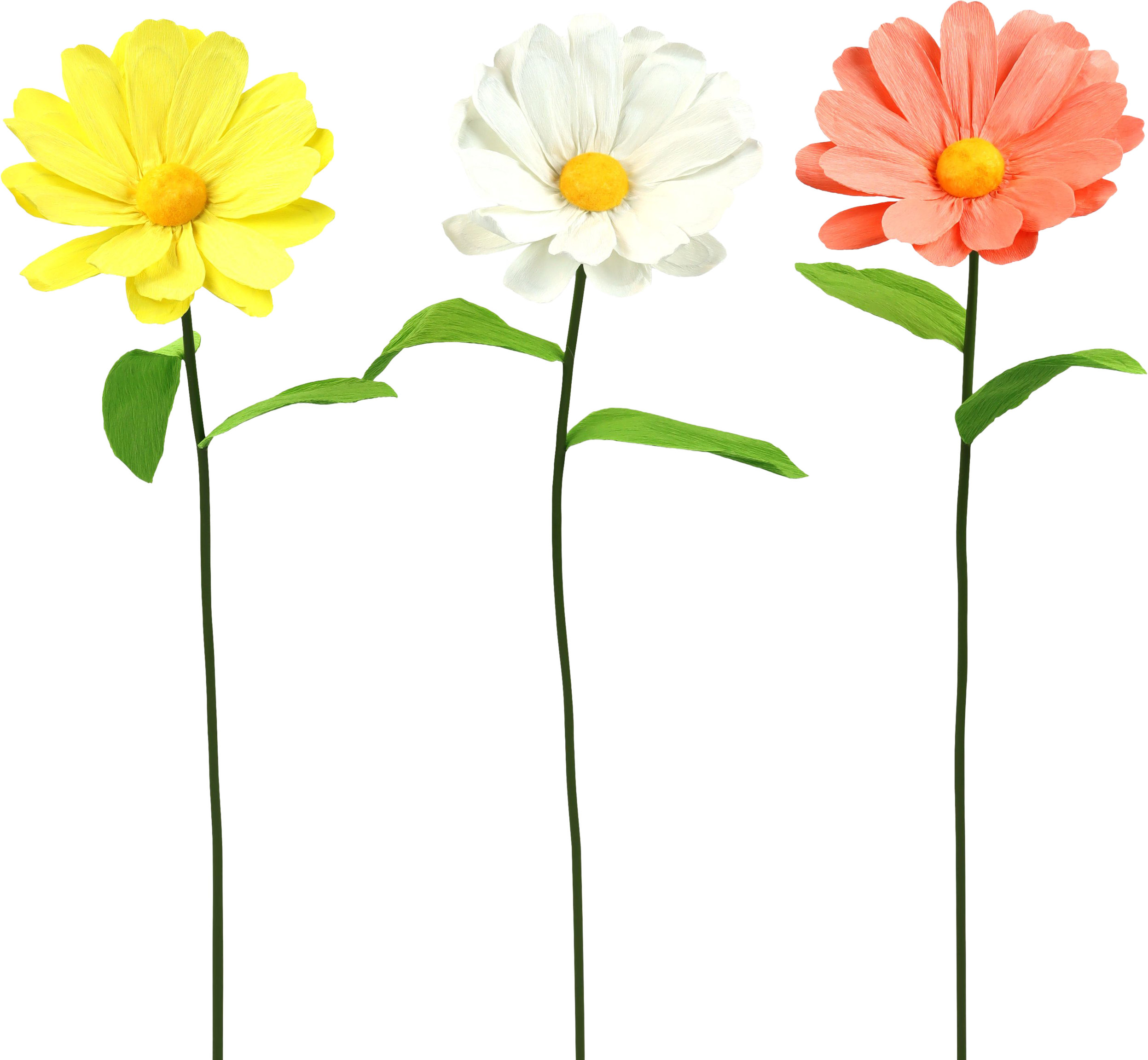 2014 TRÍO DE FLORES  DAISY  S/3