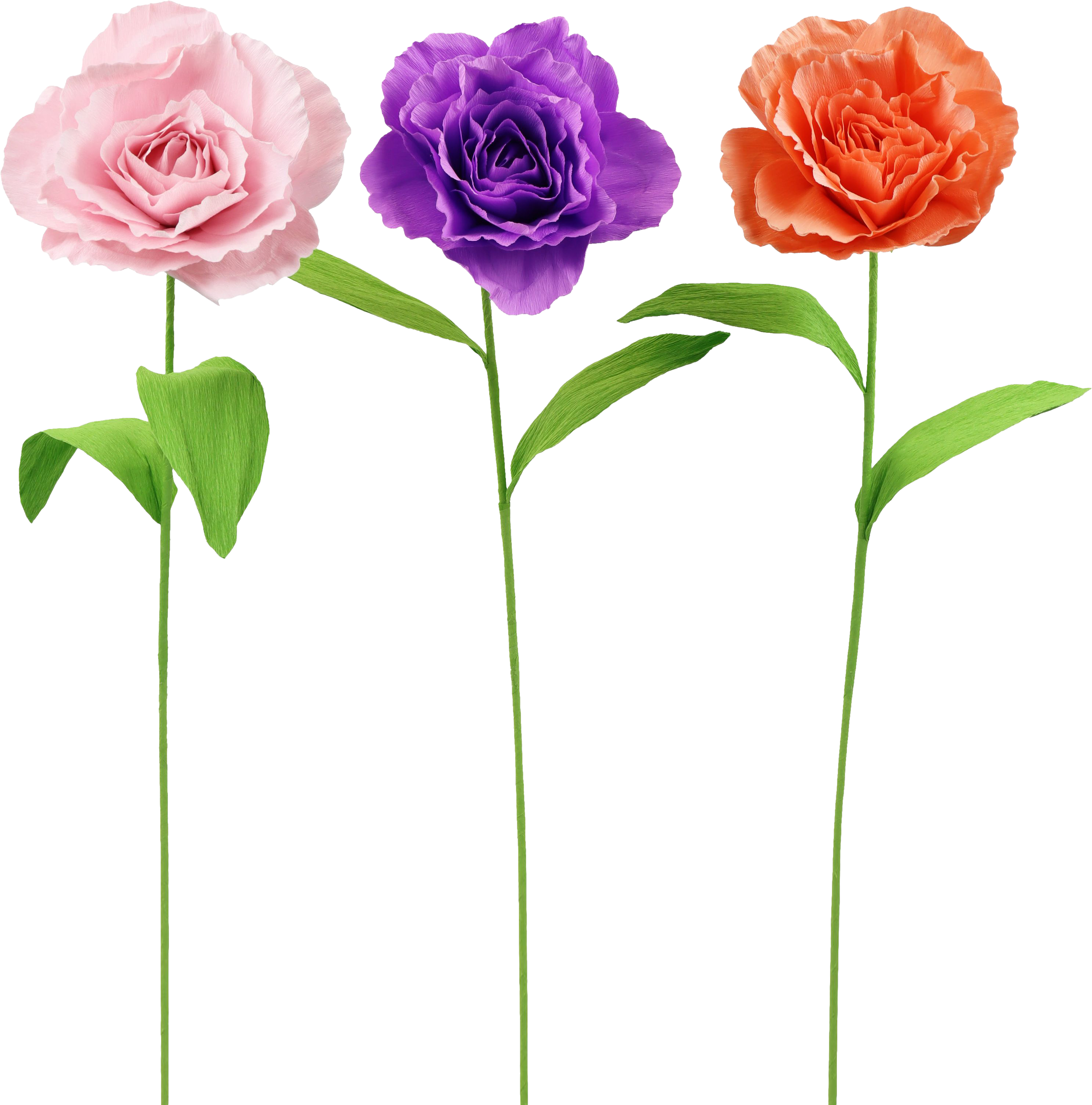 2019 TRÍO DE FLORES  ROSY  S/3