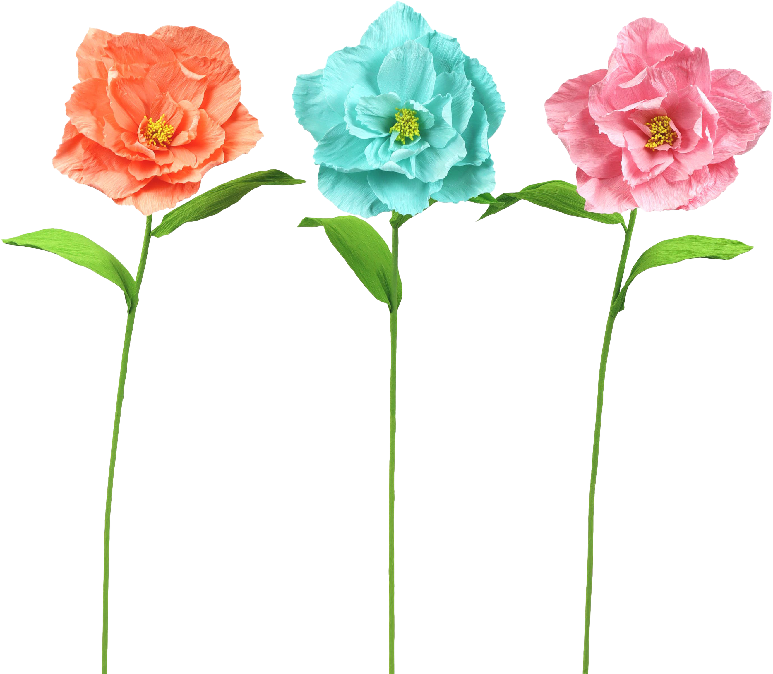 2031 TRÍO DE FLORES  POPPY  S/3