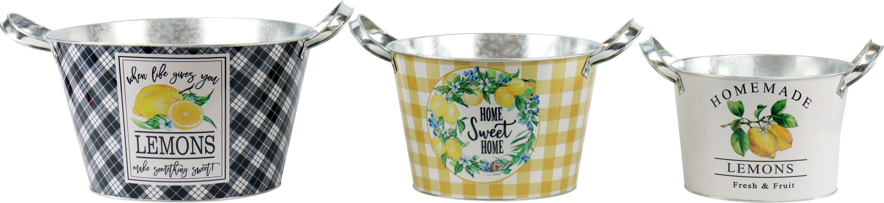 2096 OLLAS CON ASA  SWEET LEMON  S/3