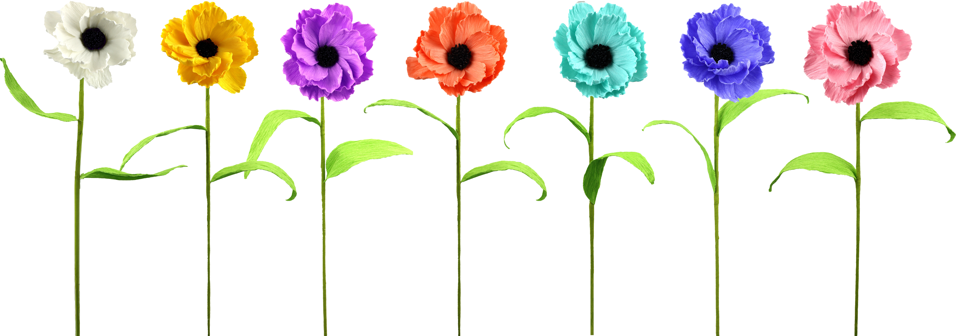 2099 BLUMENBOUQUET ANEMONE  S/7