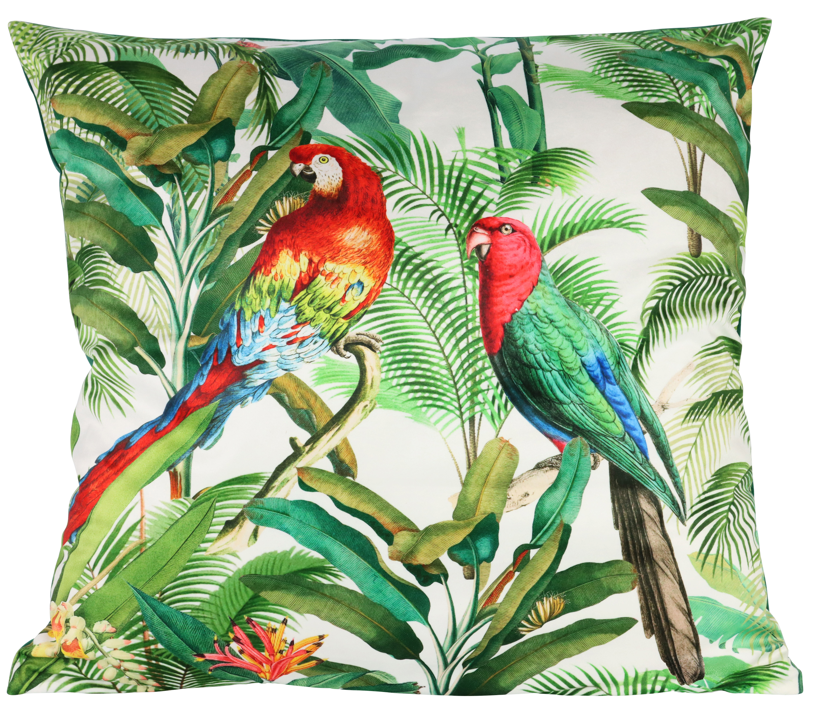 2127 KISSENHÜLLE PARROTS  60X60