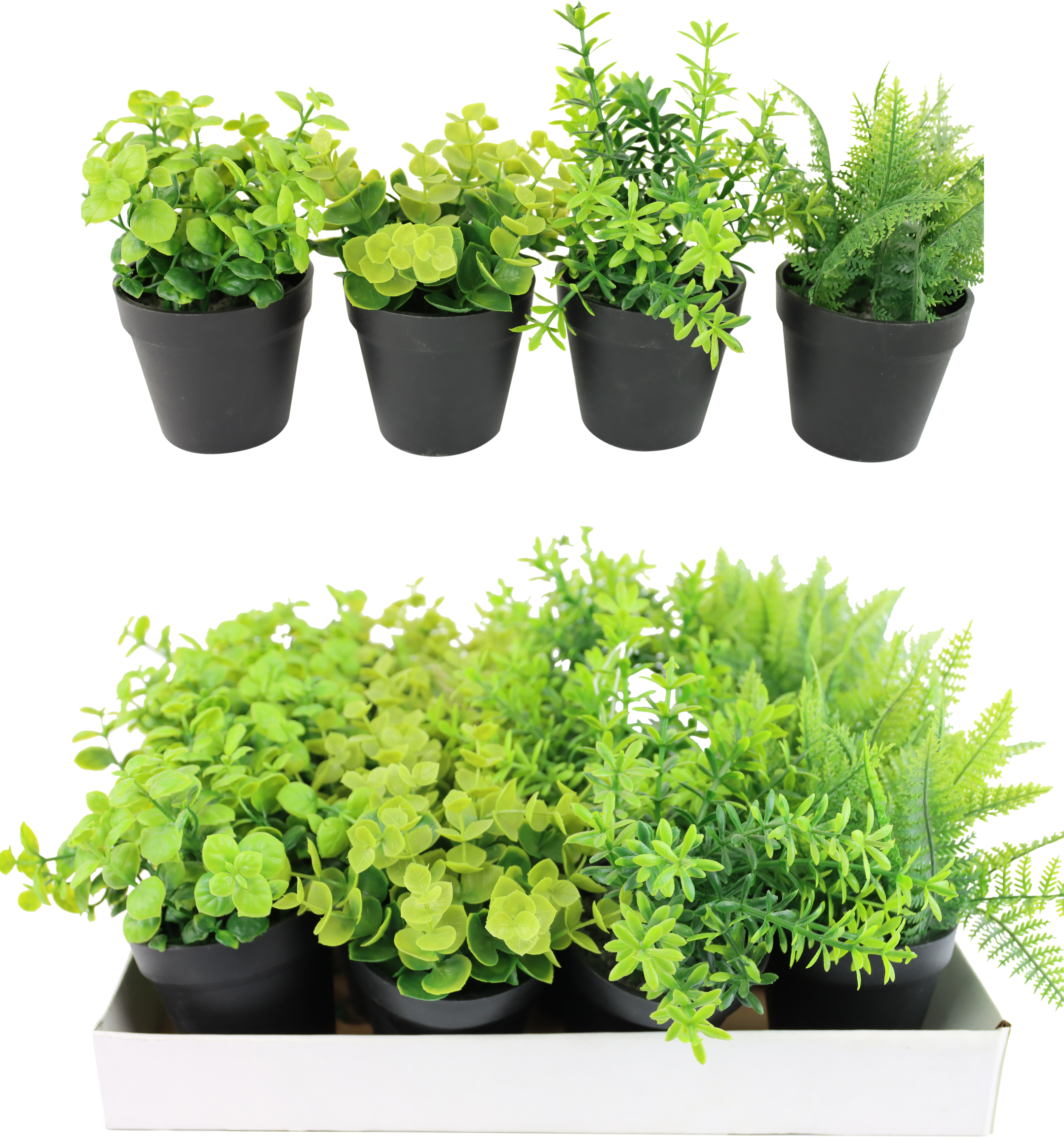 2418 DISPLAYBOX KÄUTERTÖPFE  S/16