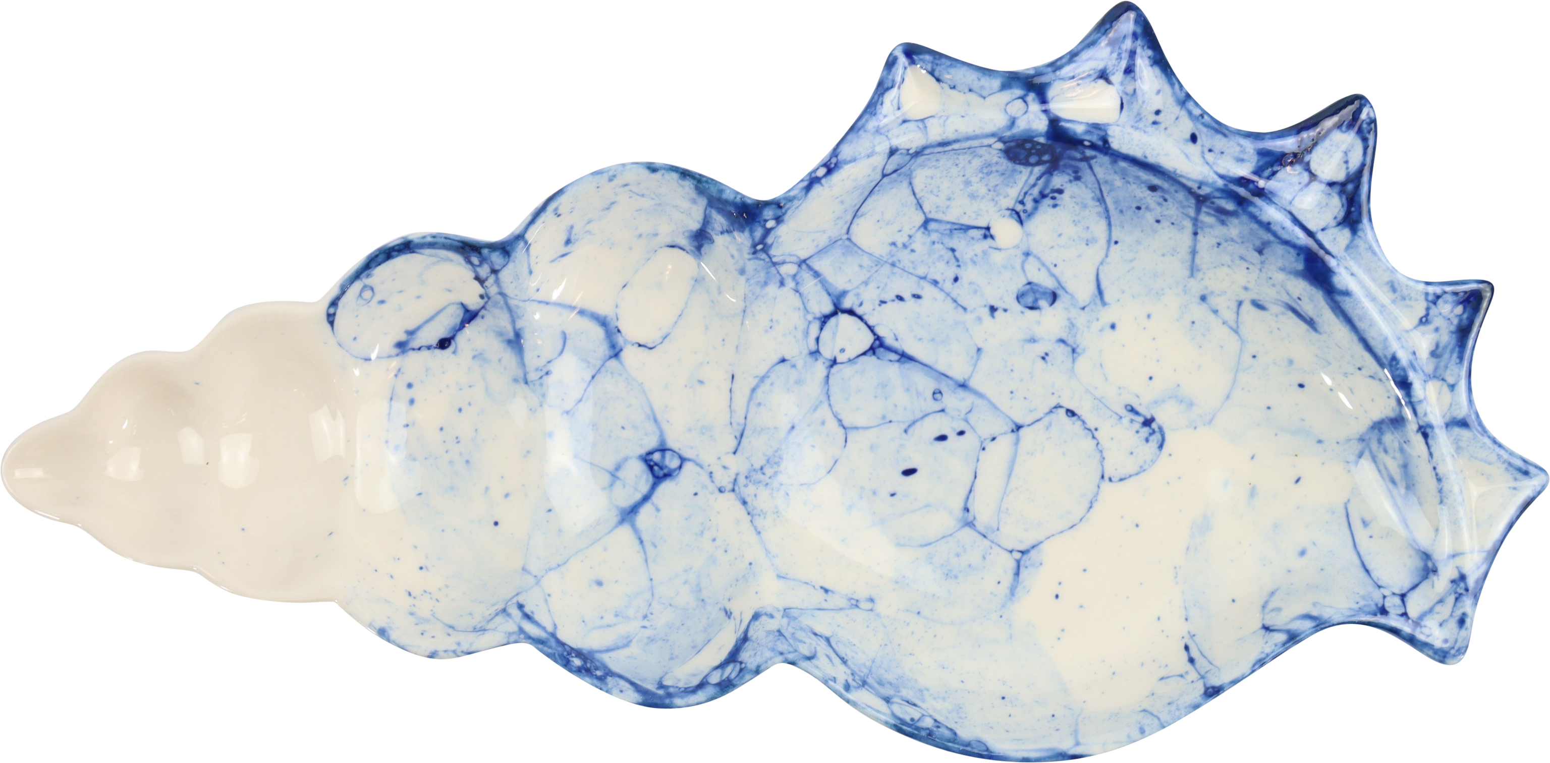 2451 MUSCHELSCHALE OCEAN