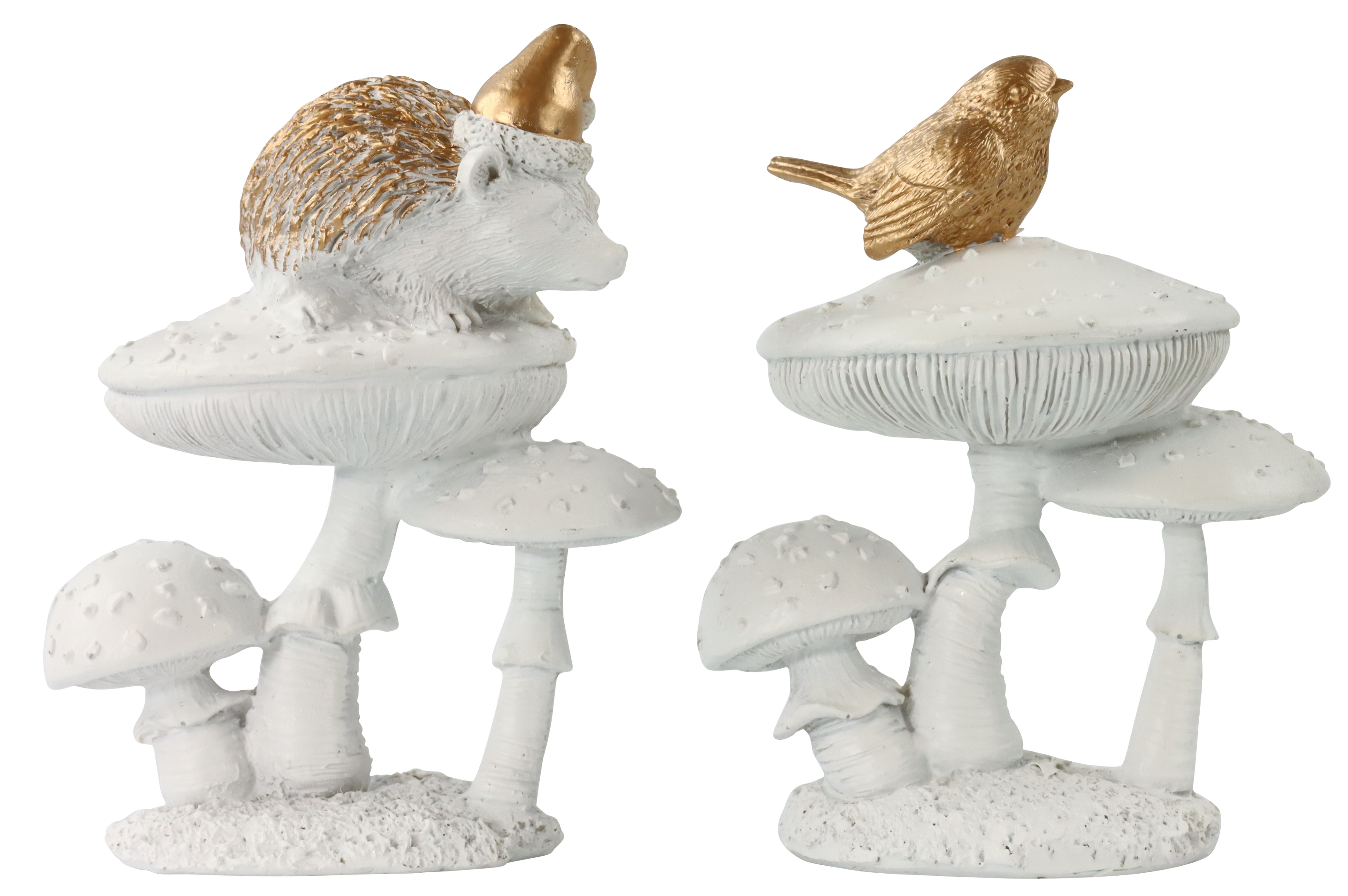 2826 SETAS  SUSURROS DEL BOSQUE  S/2