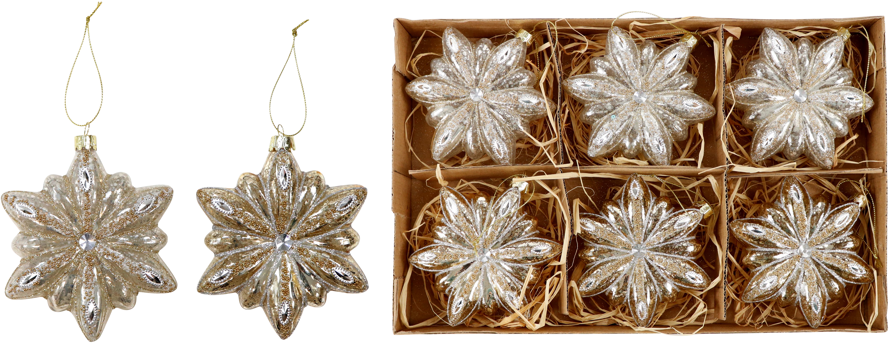 3098 BOLAS  STERNE  S/6