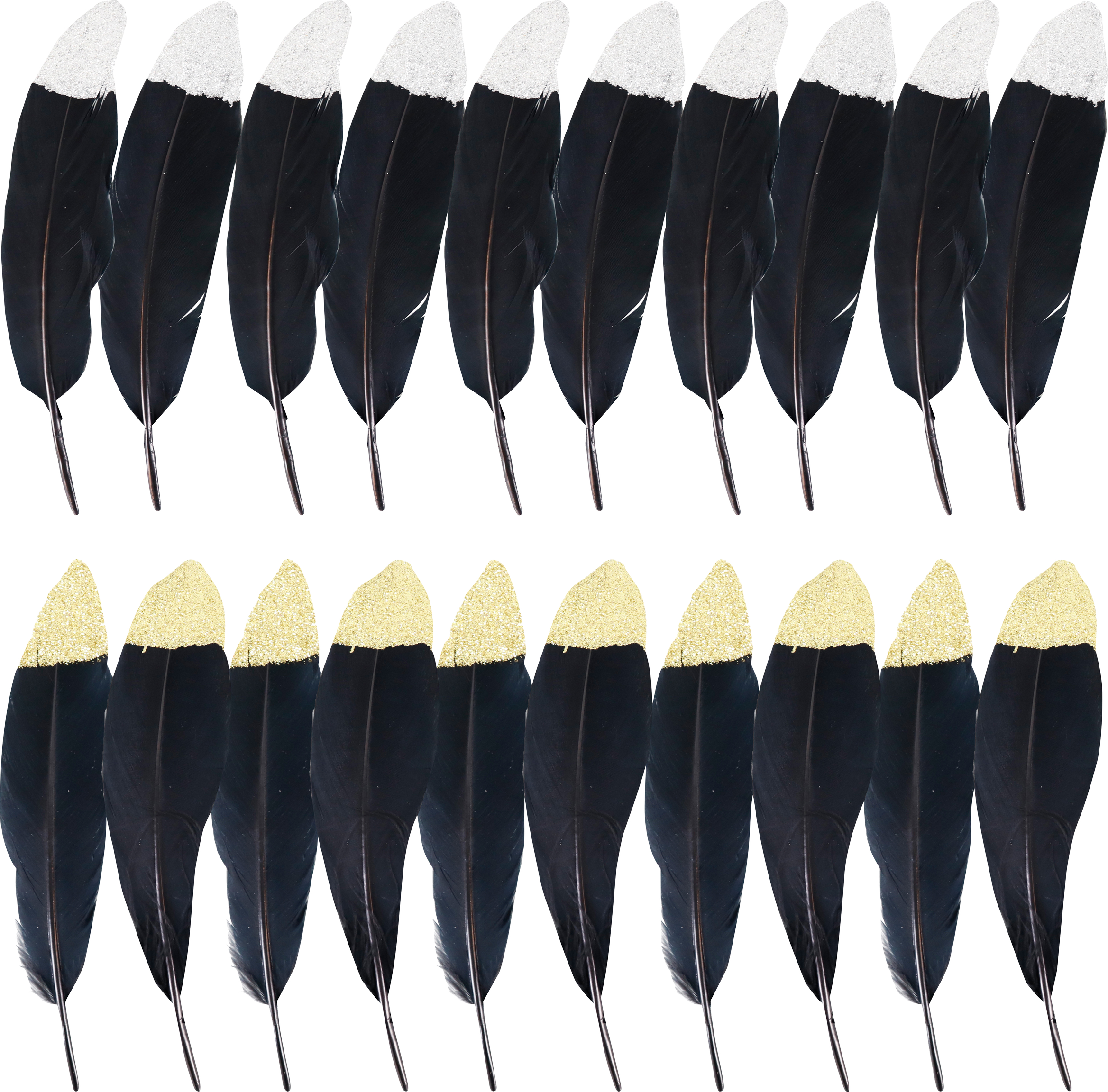 3313 PLUMAS  NOIR  S/20