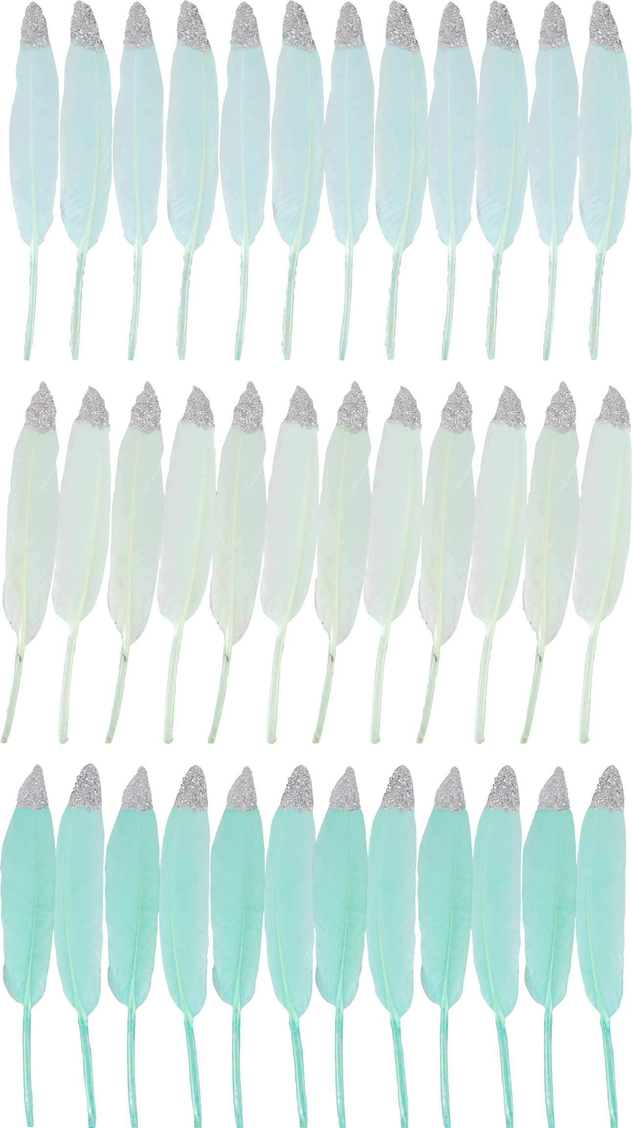 3324 PLUMAS  MINT  S/36