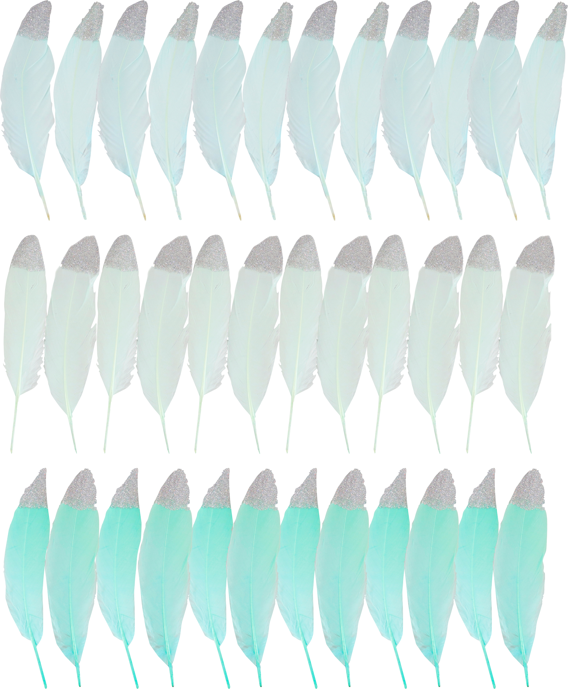 3326 PLUMAS  MINT  S/36