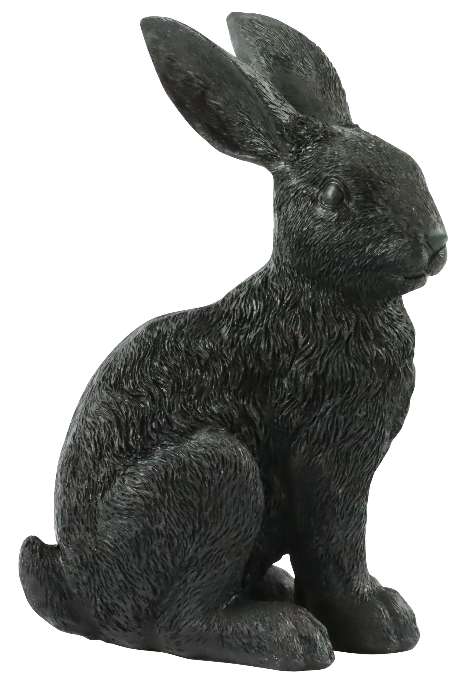 3668 CONEJO BUSY BUNNY