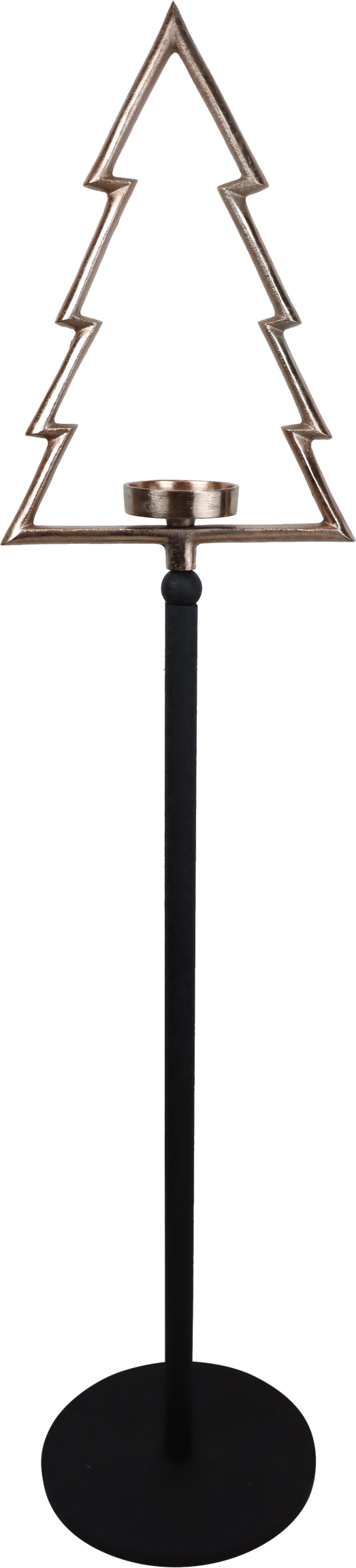 3698 CANDLESTICK TREE