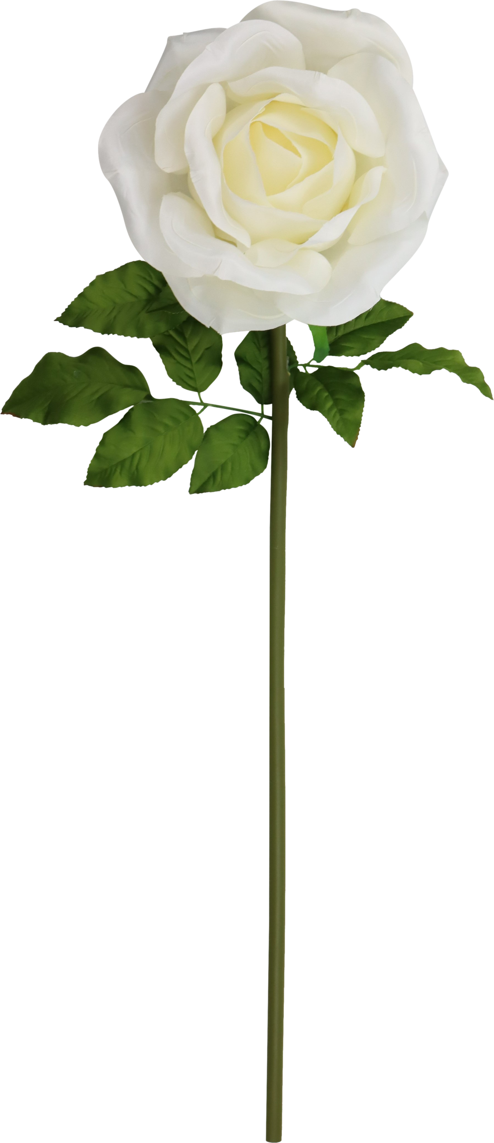 4929 FLOR GIGANTE  ROSE