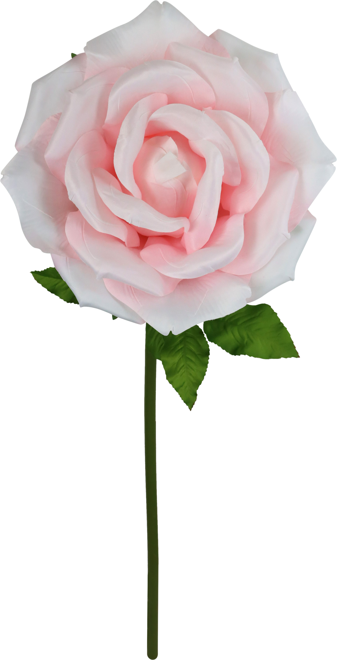 4961 FLOR GIGANTE  ROSE