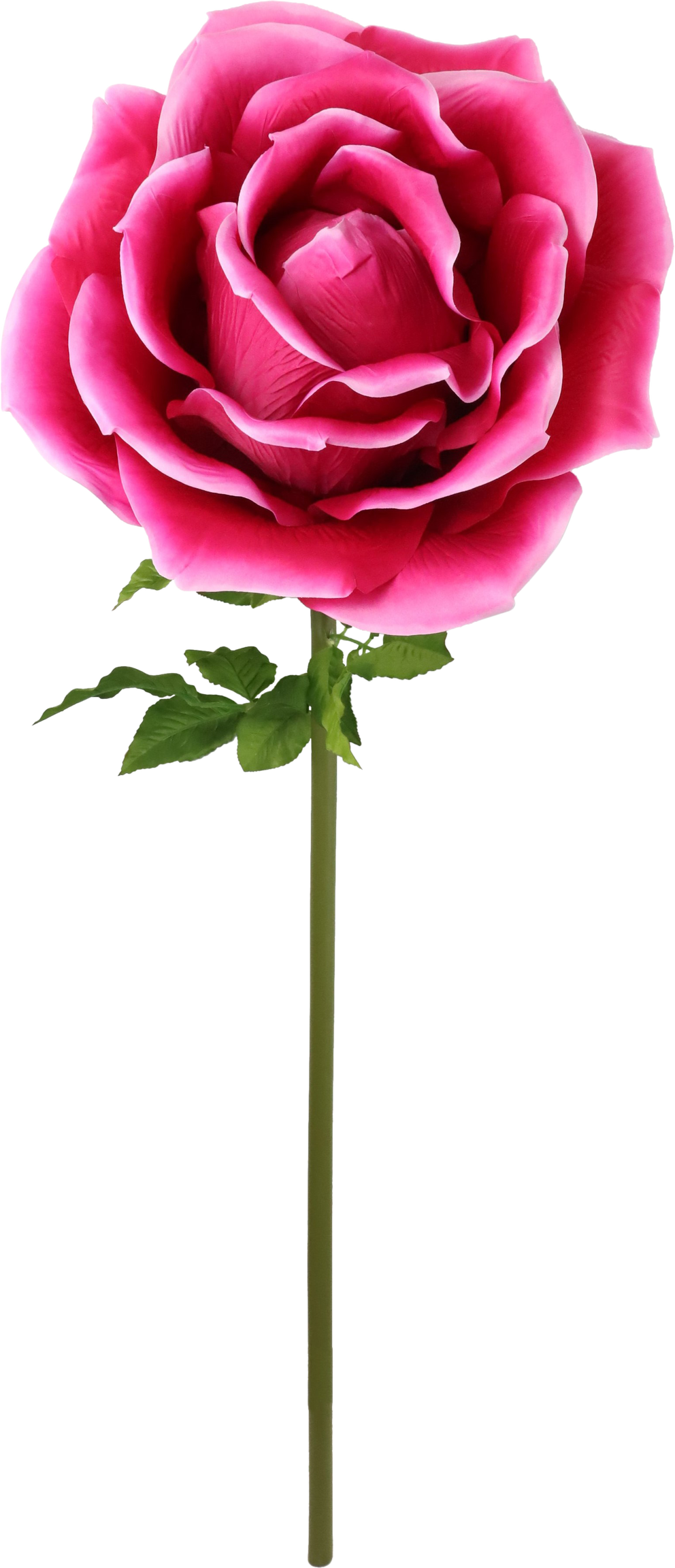 4975 FLOR GIGANTE  ROSE