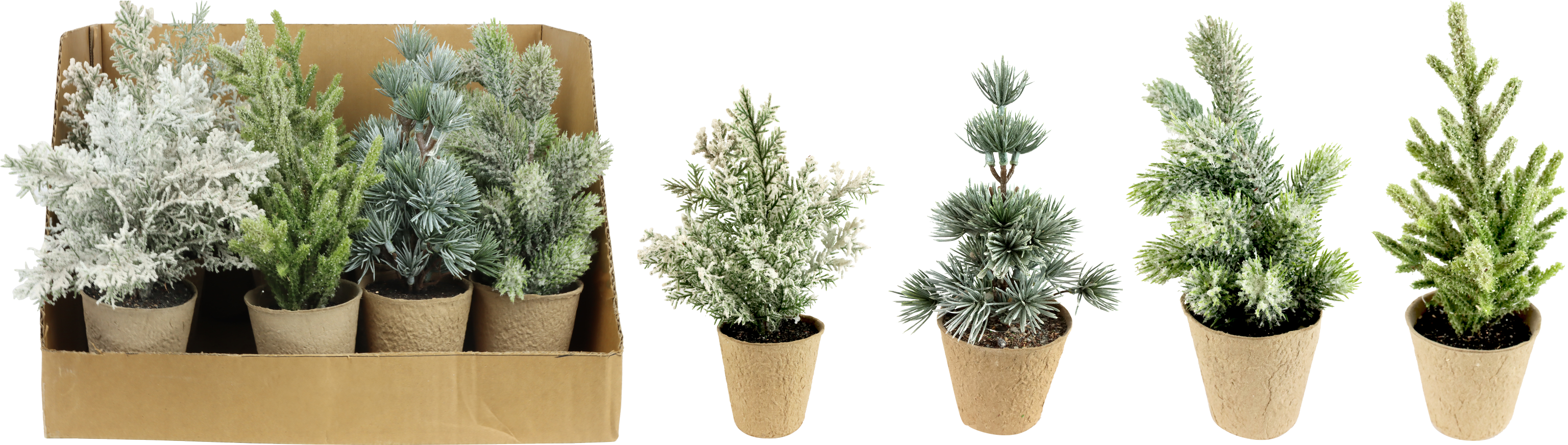 4978 DISPALY W.TREES NORDIC CHARM  S/12