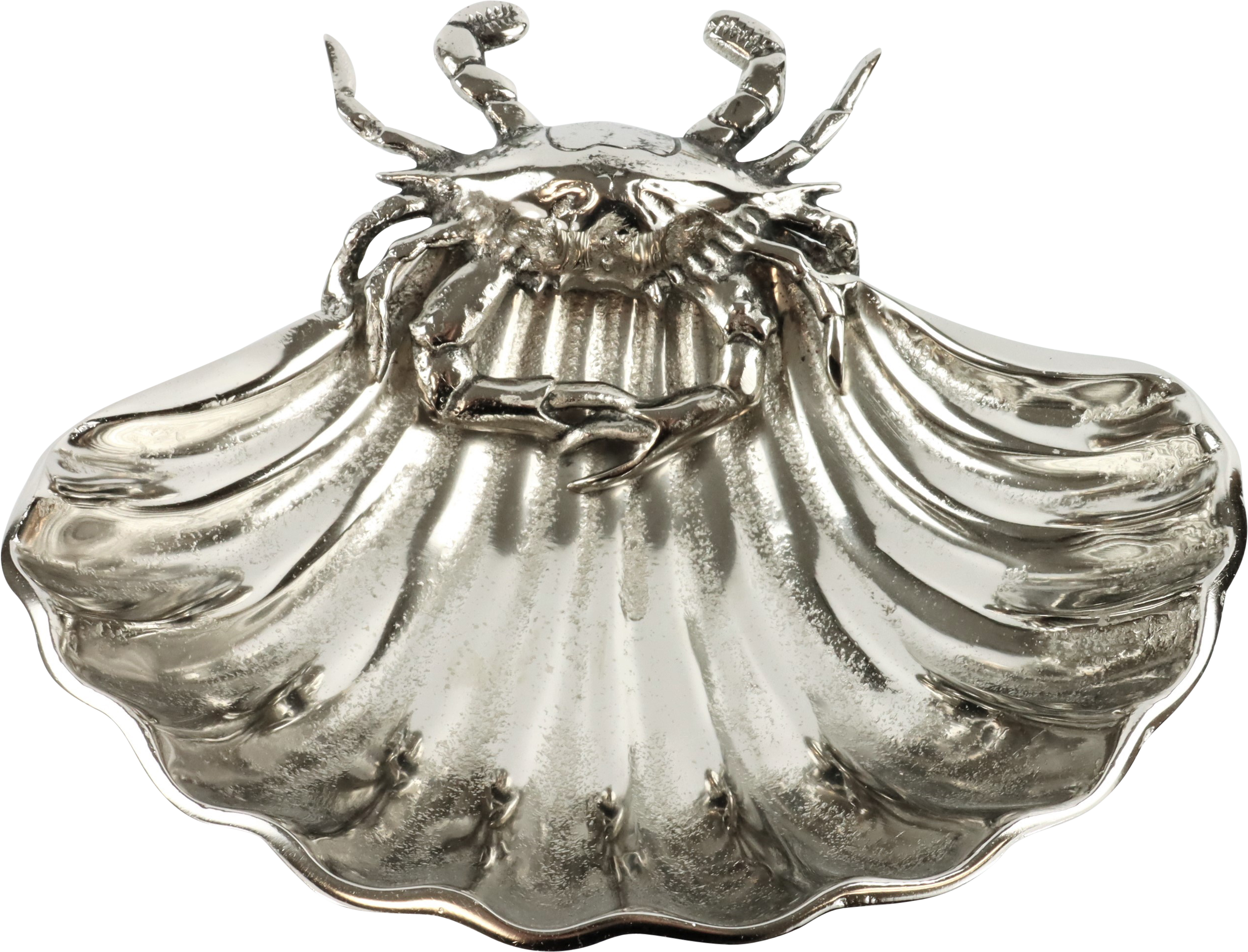 5061 CONCHA  OCÉANO