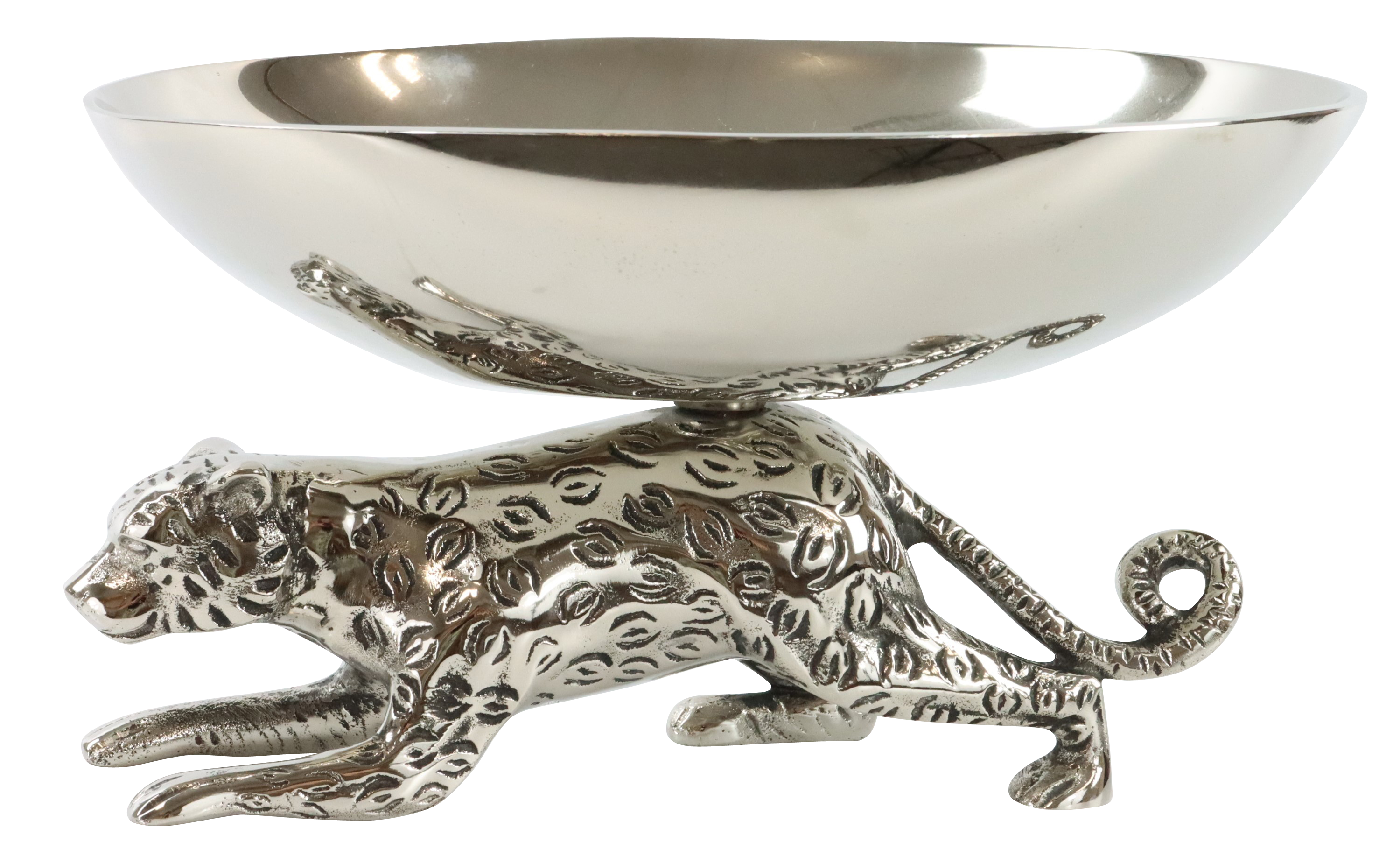 5170 CUENCO CRAZY TIGER