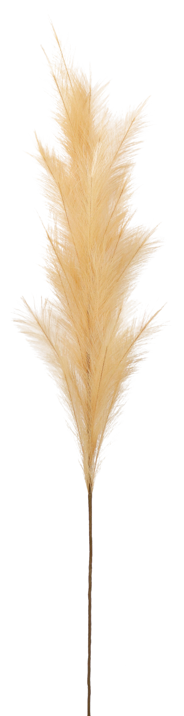 5914 ZIERFEDER SAND 170CM