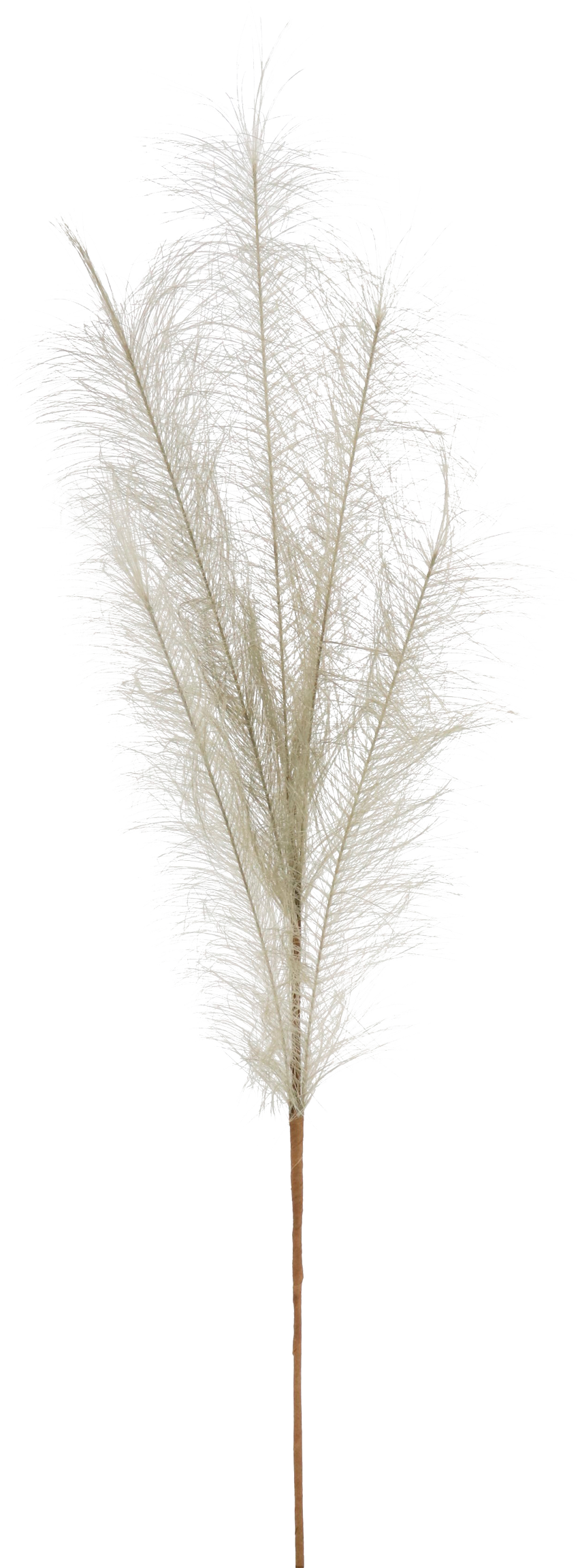 5984 ZIERFEDER TAUBENBLAU 80CM