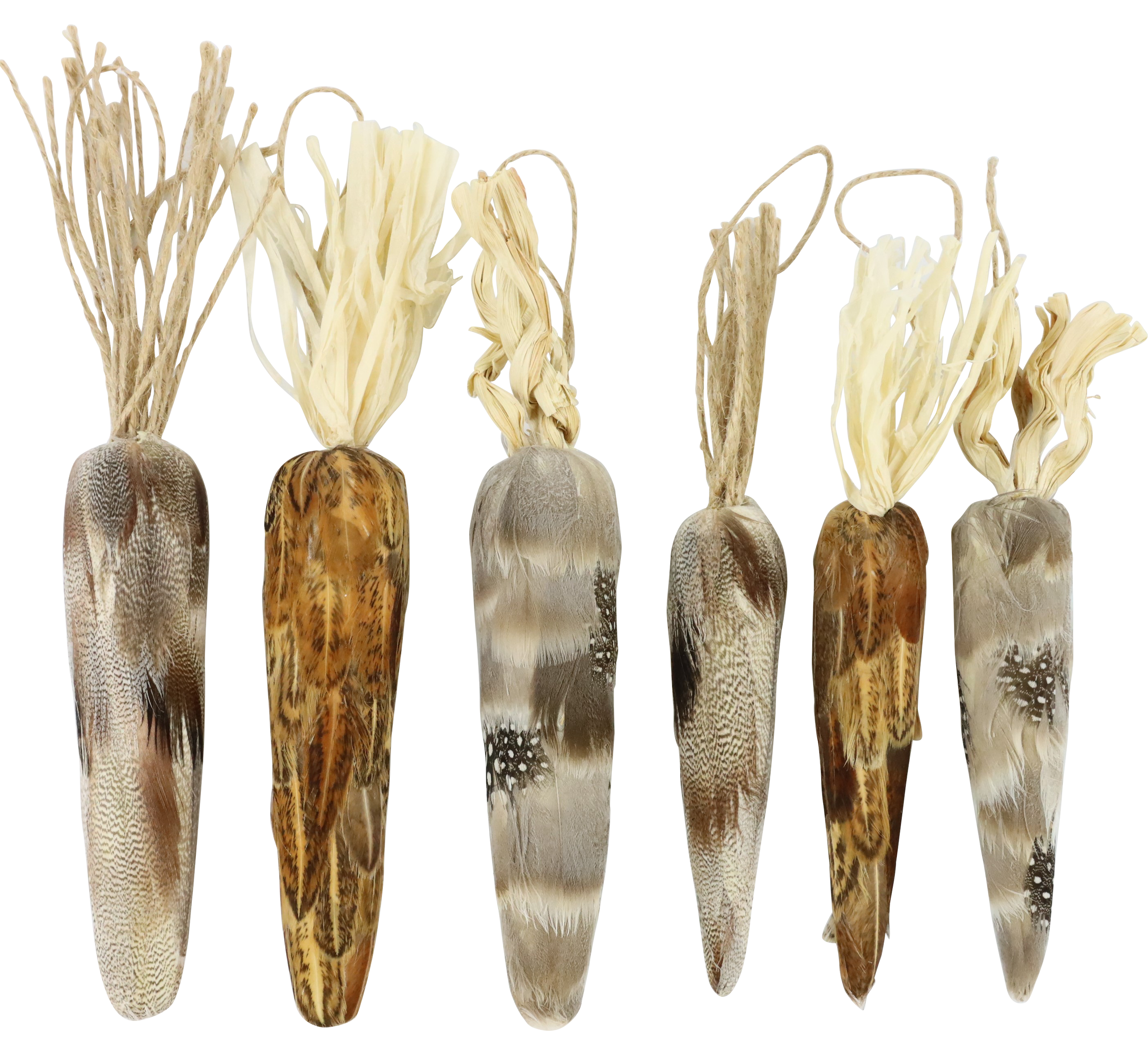 6131 CARROTAS NATURAL EAST  S/6