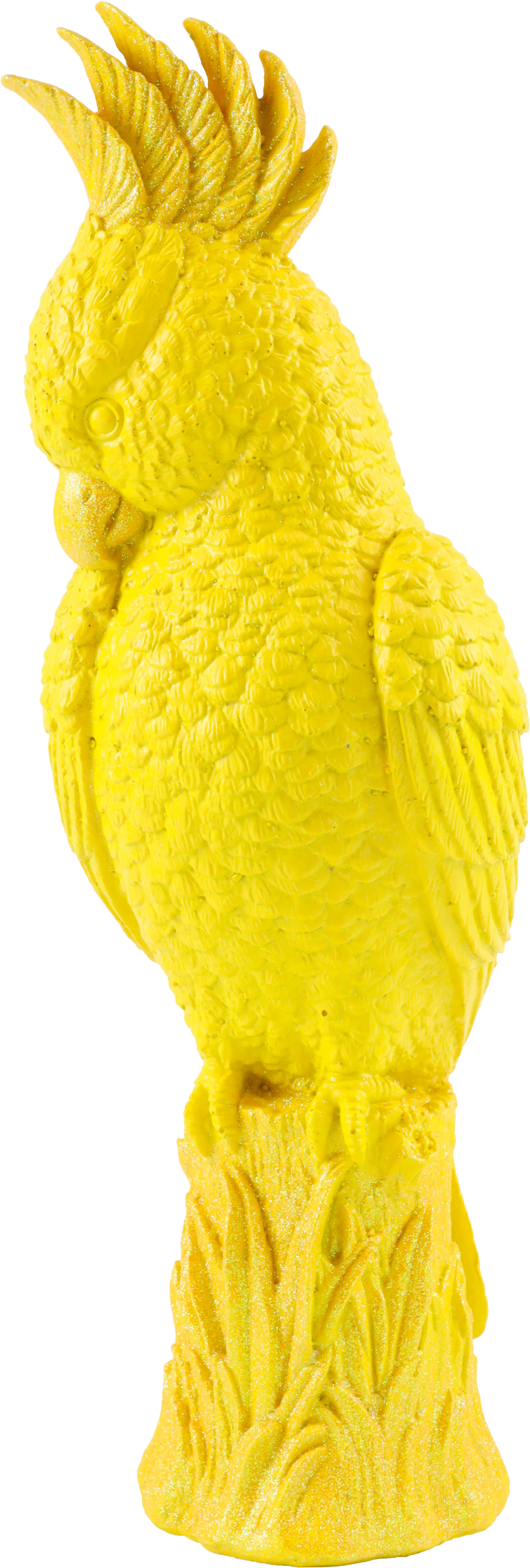 6432 CACATÚA TROPICAL ICON