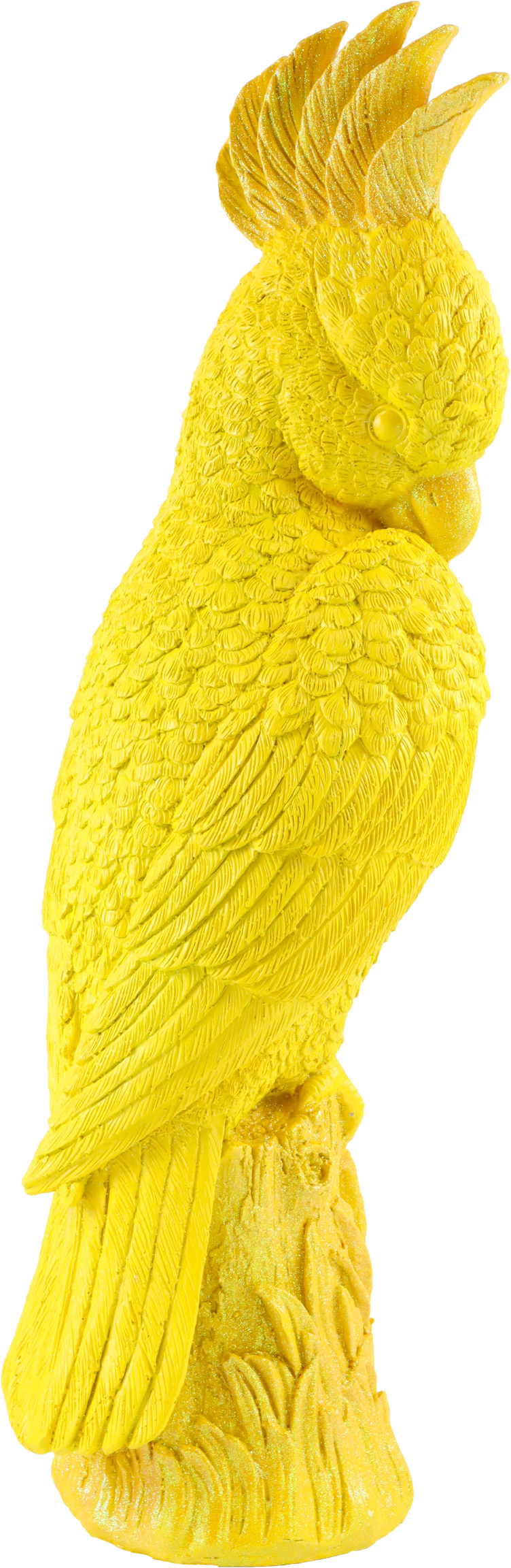 6469 CACATÚA TROPICAL ICON