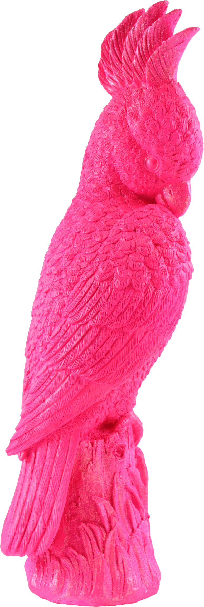 6470 CACATÚA TROPICAL ICON