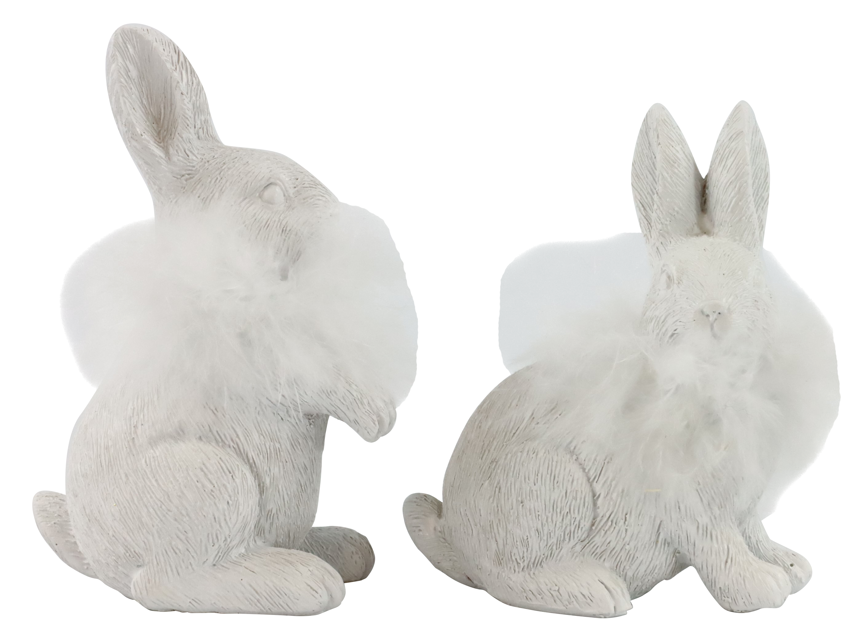 6775 CONEJOS FEATHERS  S/2