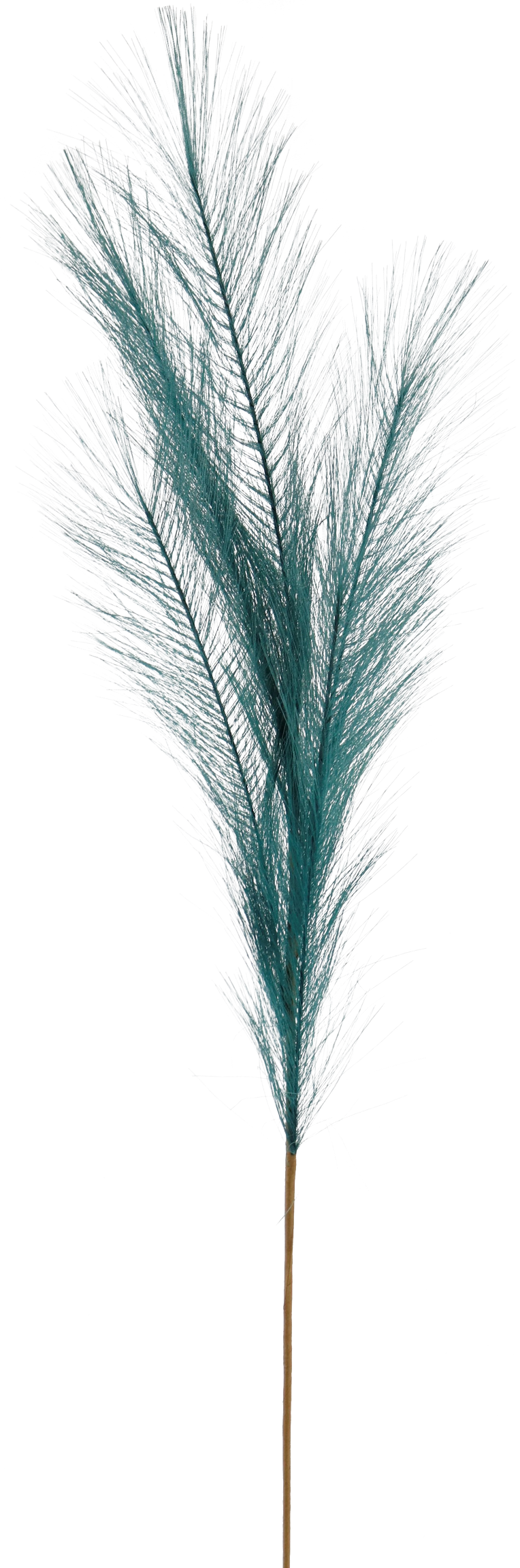 7150 ZIERFEDER PETROL  80CM