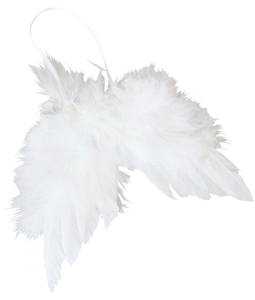 8529 ANGELWINGS WHITE BEAUTY
