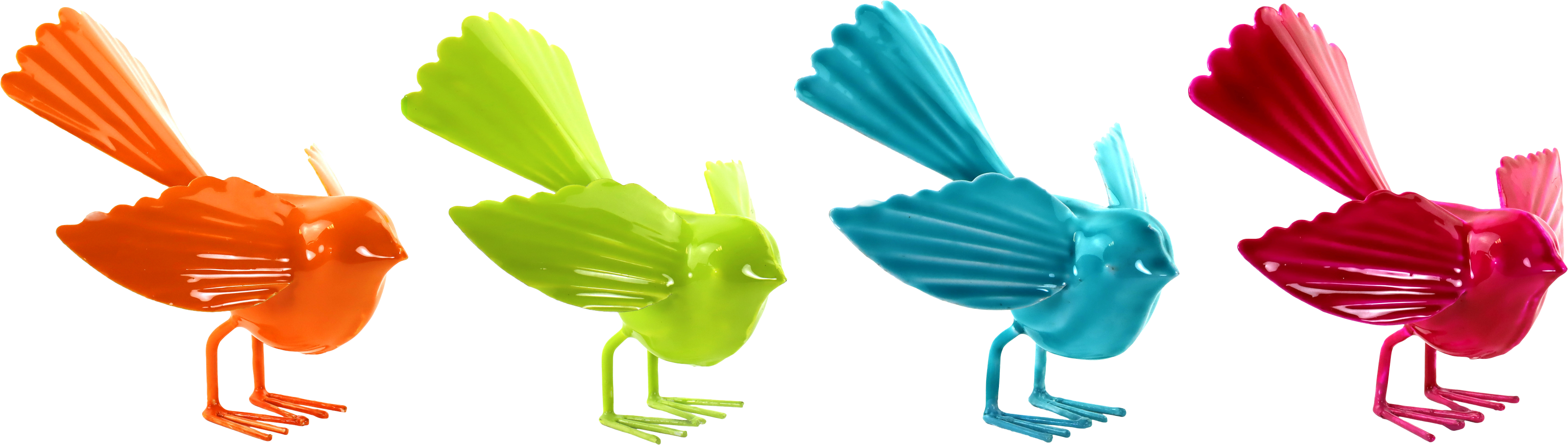 8556 AVES BIRDY  S/4