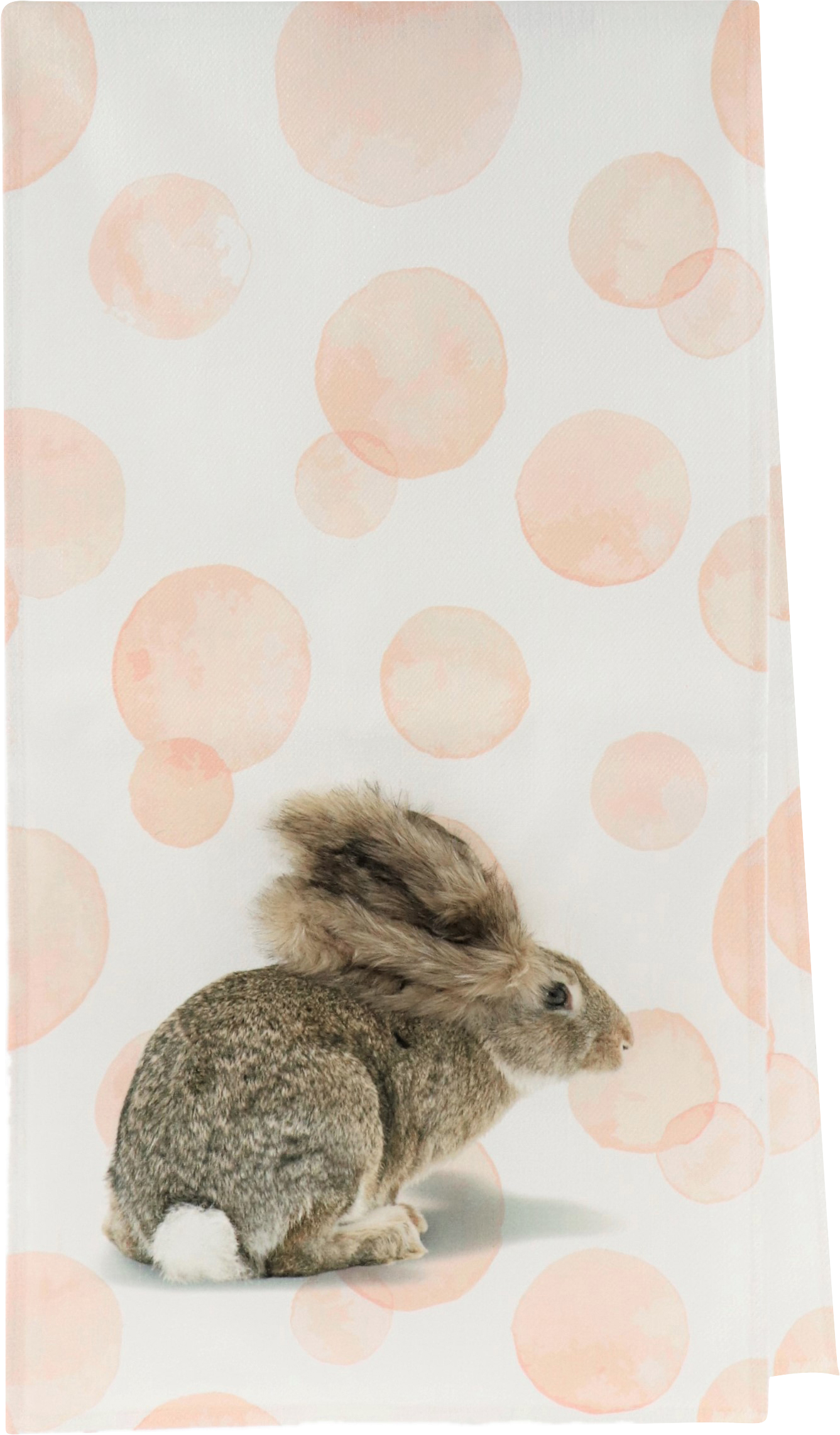 8905 CAMINO DE MESA  HASE 40X150