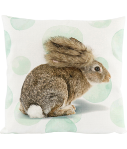 8908 HOUSSE COUSSIN  HASE 45X45