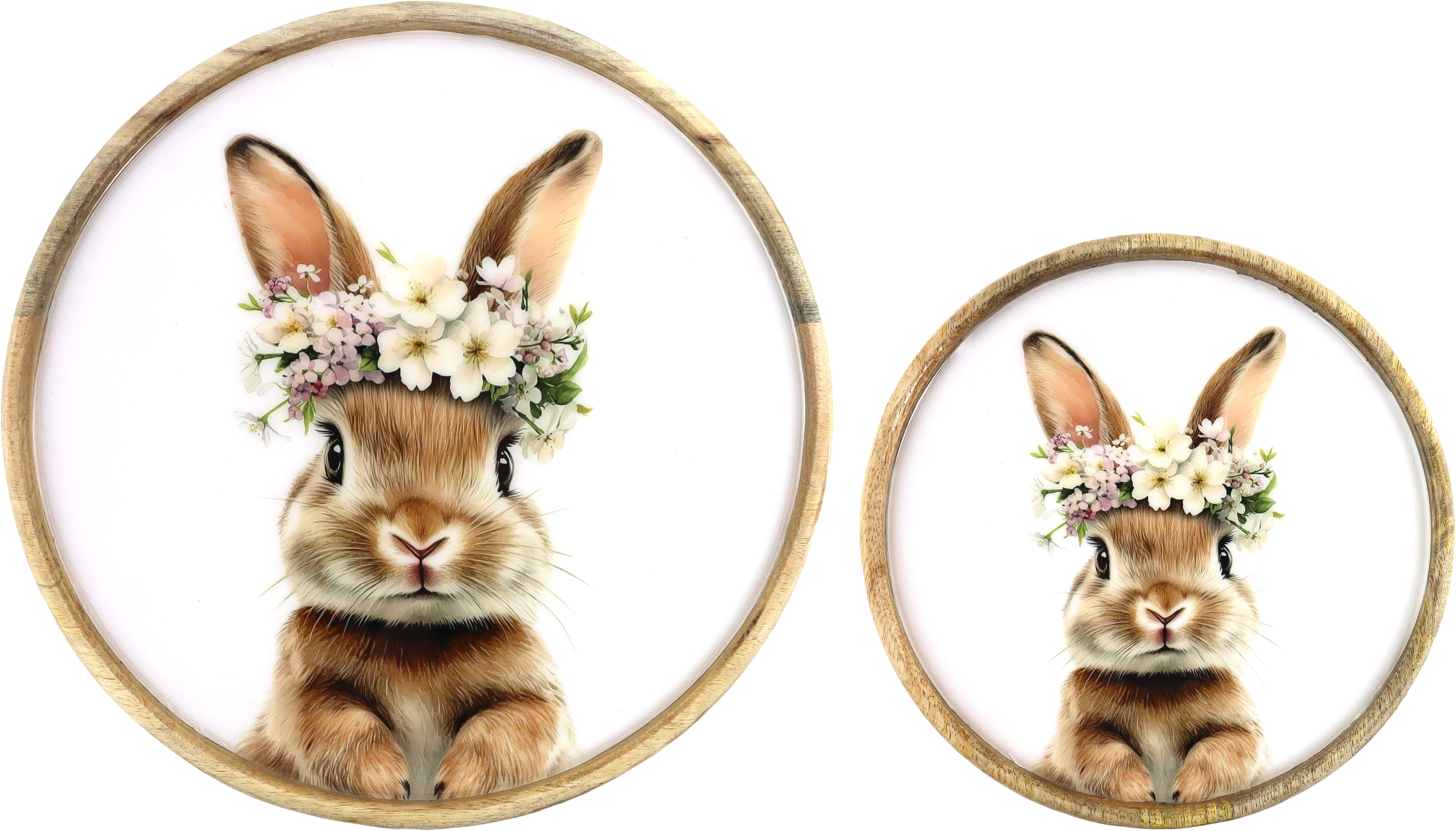 8985 PLATOS BUNNY BLOOM!  S/2