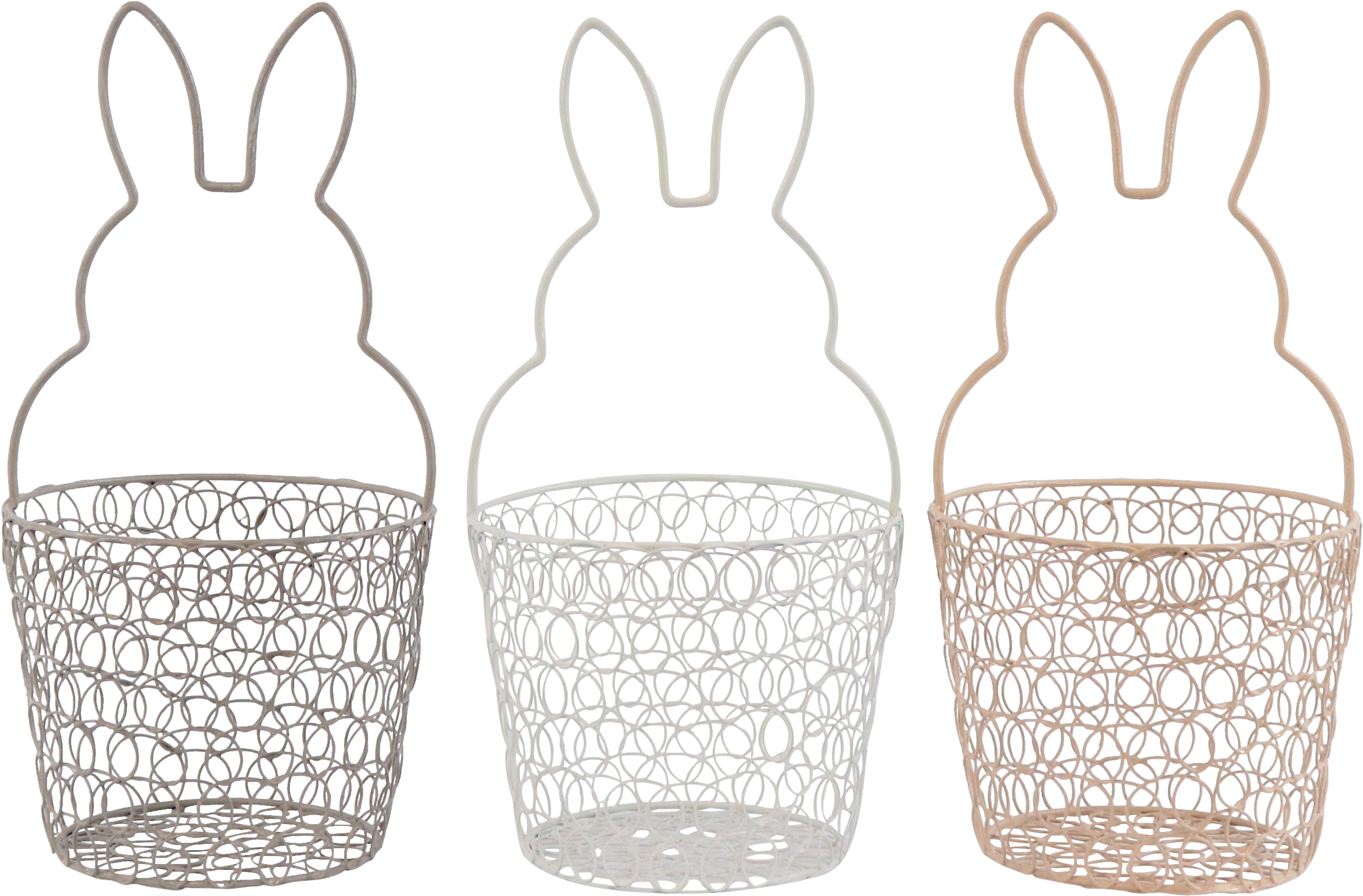 9021 CESTAS  HASE  S/3