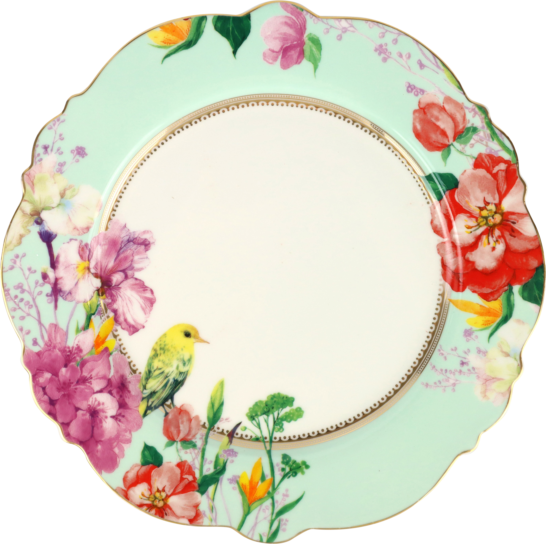 9820 PLATOS LOVELY BIRD