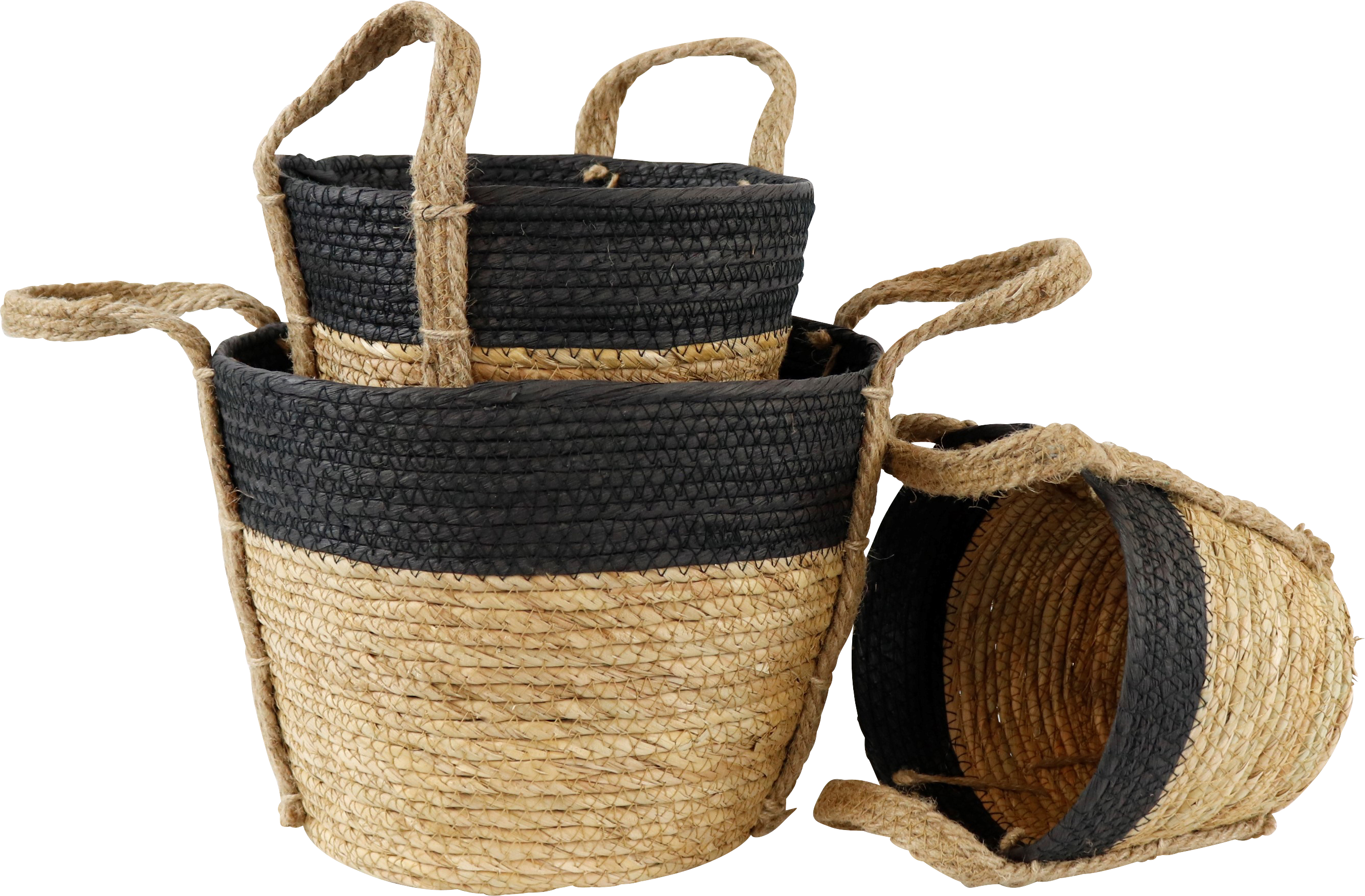 9865 CESTAS  NAXOS  S/3